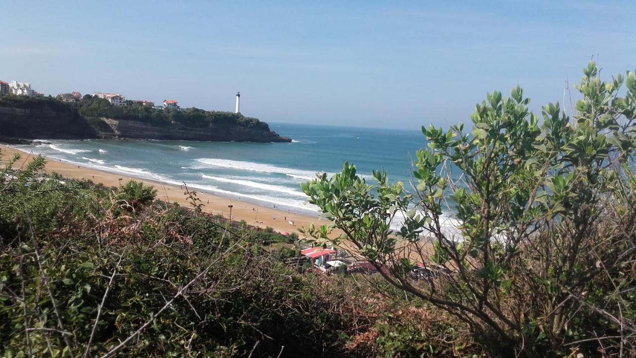 شقة Anglet Face A L'Ocean المظهر الخارجي الصورة